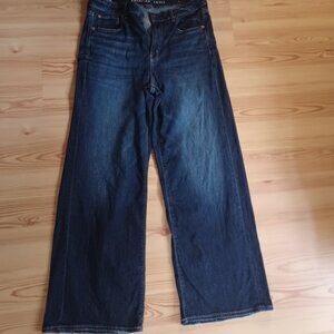 American Eagle Super High Rise Baggy Wide Leg Jeans